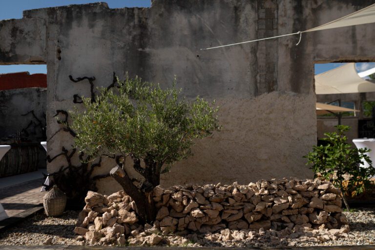 bura museum near zadar thematic room