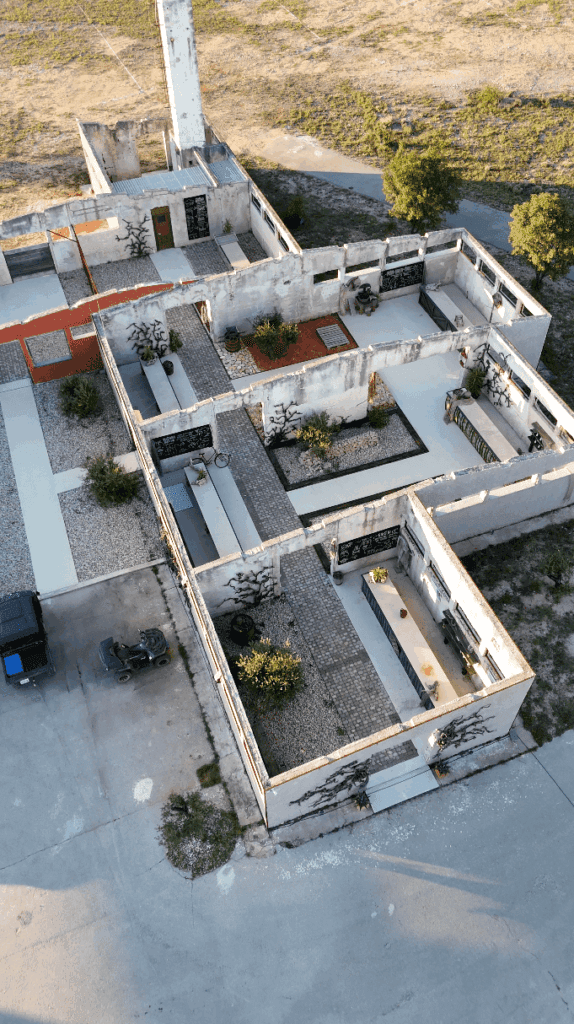 The guided wine tasting